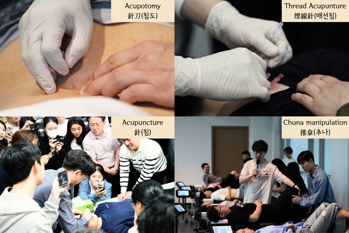 다수의 한의사를 대상으로 한 침도 술기 시연