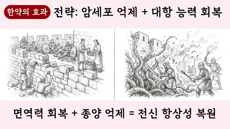 유방암 한약치료 블로그 글 1