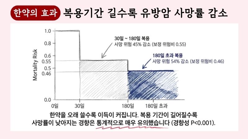 유방암 한약치료 블로그 글 5