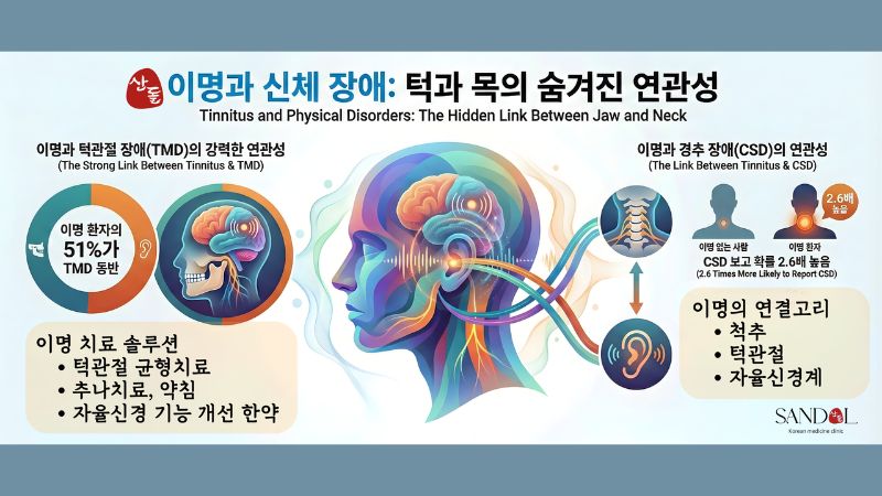 만성 이명 치료 접근법