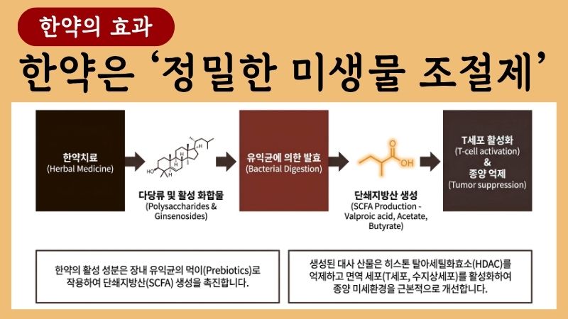 위암 한약치료 블로그 글 2