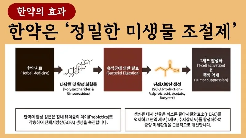 위암 한약치료 블로그 글 2