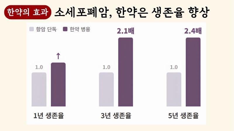 폐암 한약치료 블로그 글 3