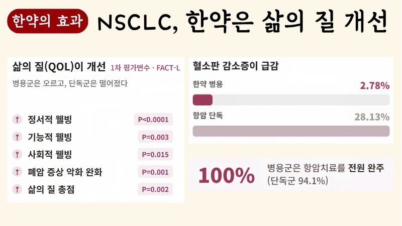 폐암 한약치료 블로그 글 6
