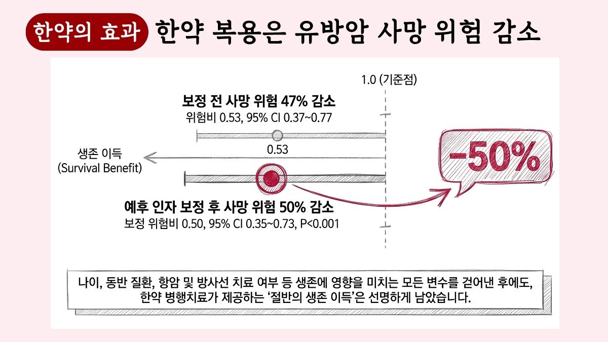 진행성 유방암 환자의 한약 병용 시 사망 위험 50% 감소