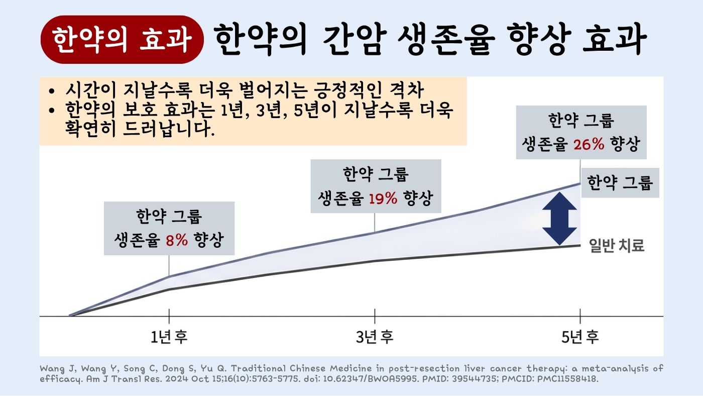 한약 병용군의 1년·3년·5년 생존율 향상 그래프(시간이 지날수록 차이 확대)