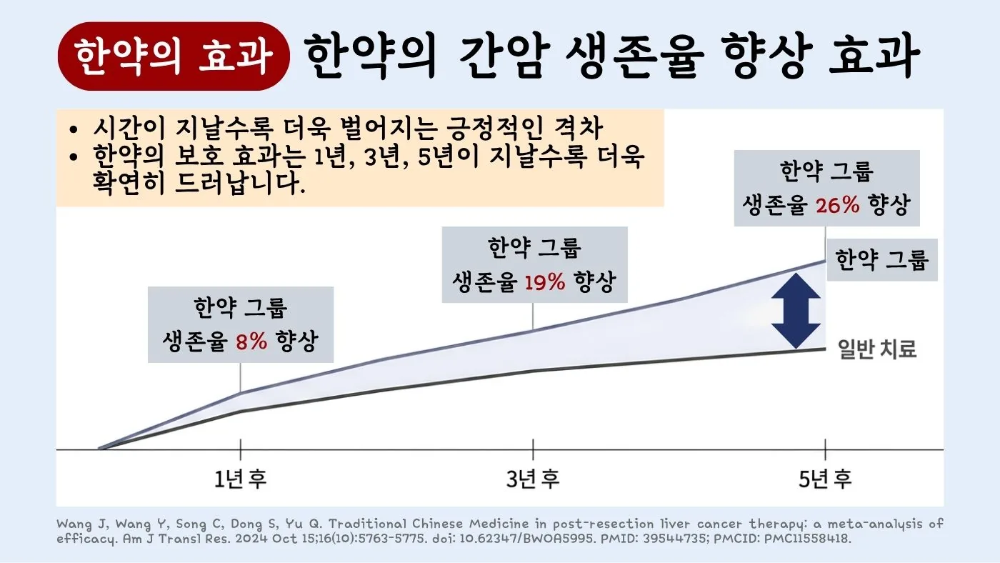한약 병용군의 1년·3년·5년 생존율 향상 그래프(시간이 지날수록 차이 확대)