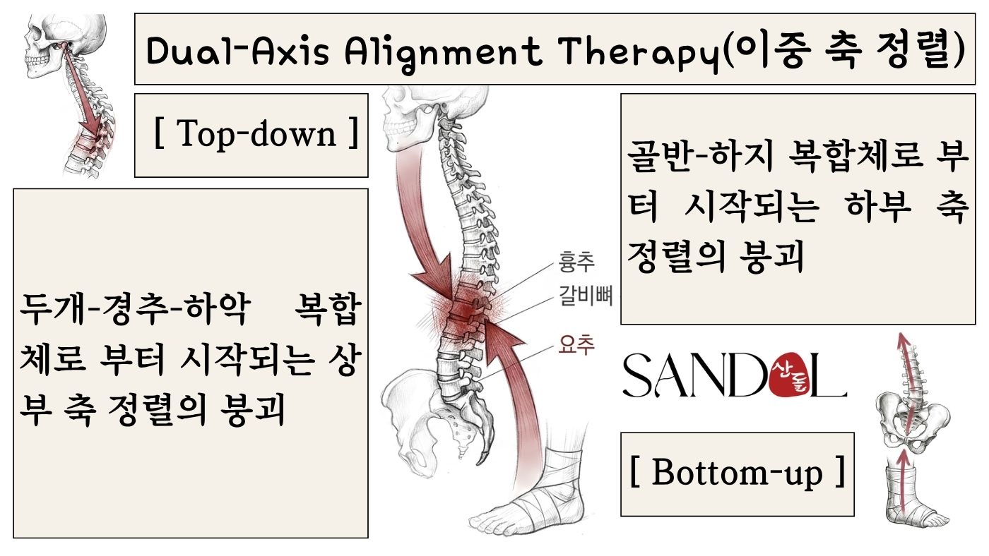 이중 축 정렬 기법(DAAT)으로 두개골반축을 재정렬하는 등 허리 통증 치료 도식