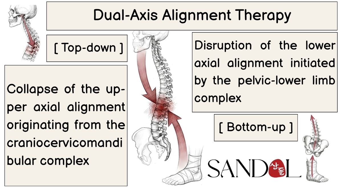 Diagram of back and lower-back pain treatment realigning the cranio-pelvic axis with the Dual-Axis Alignment Technique (DAAT)