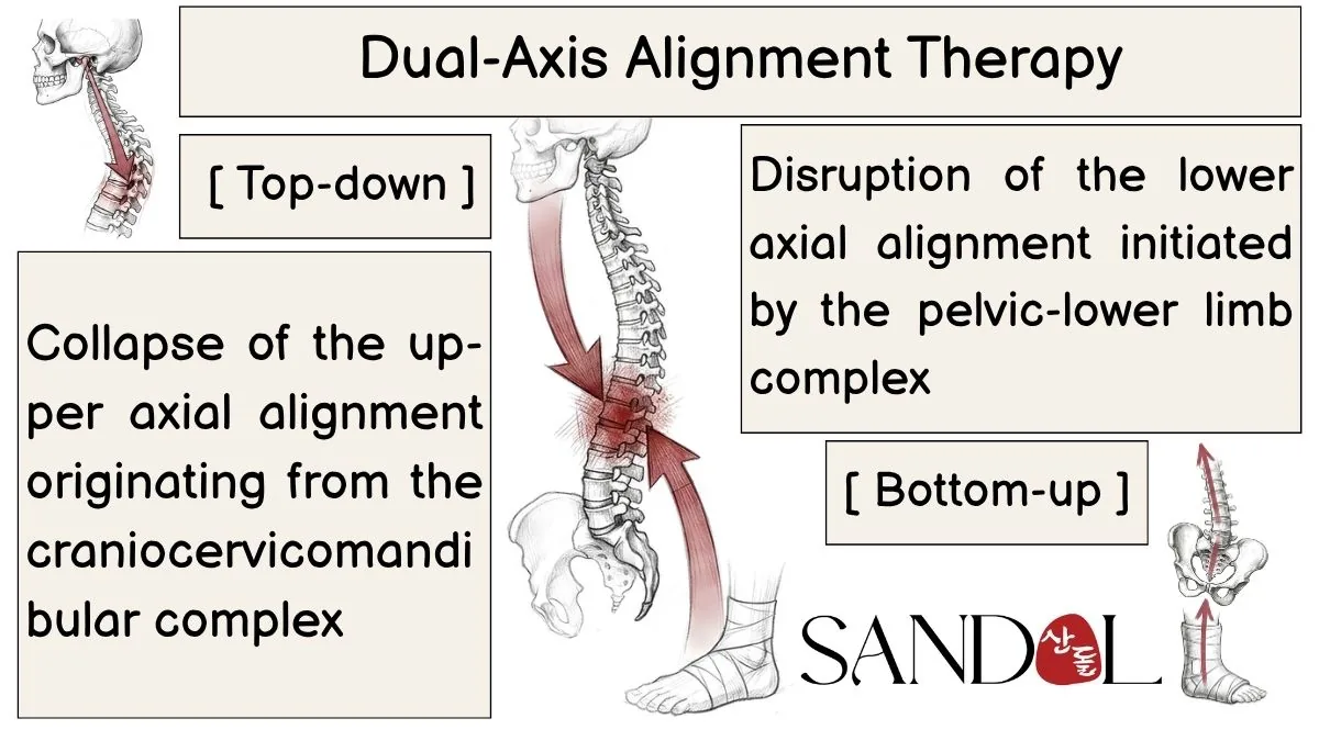 Diagram of back and lower-back pain treatment realigning the cranio-pelvic axis with the Dual-Axis Alignment Technique (DAAT)
