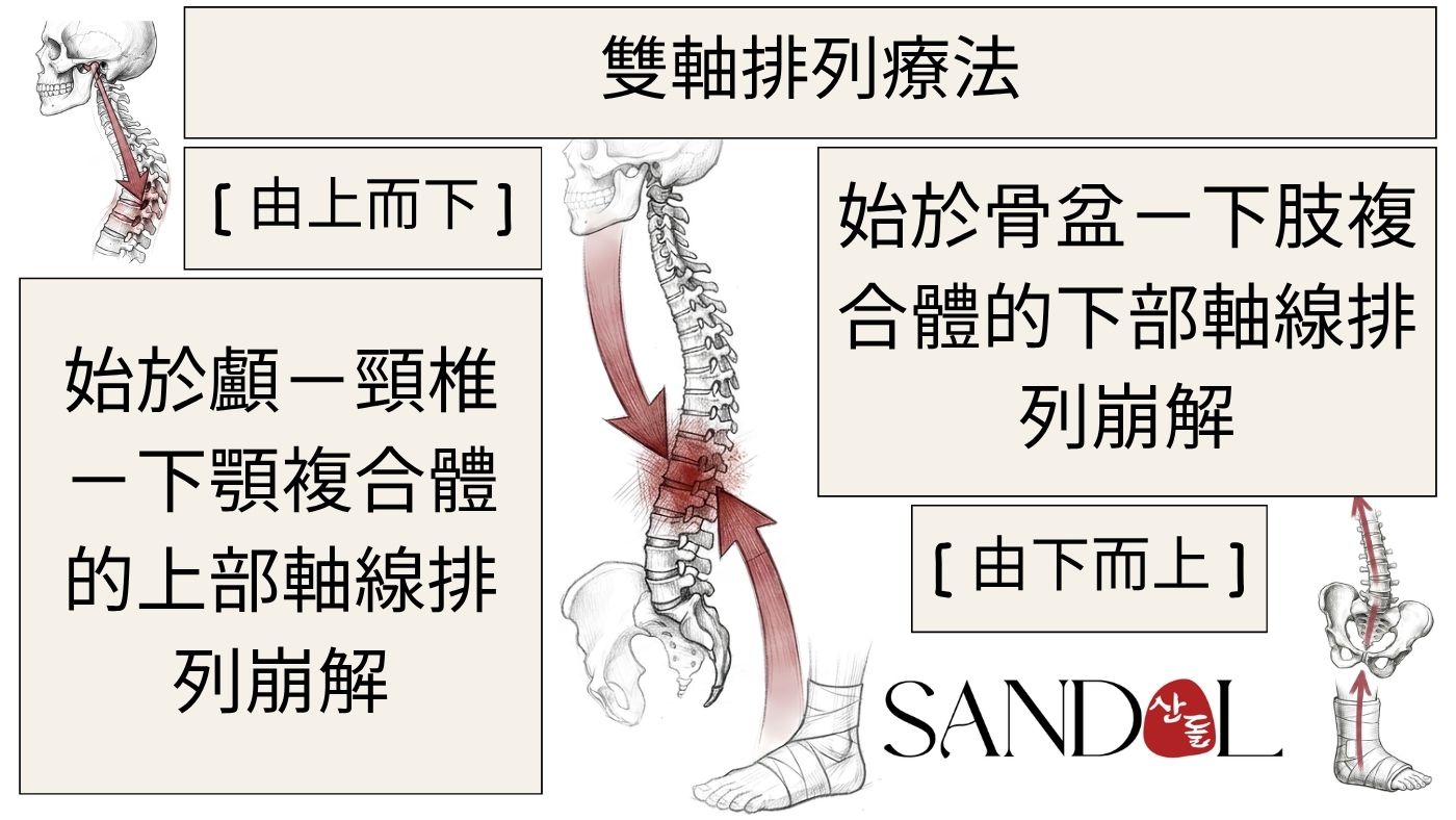 以雙軸校準技術（DAAT）重新校準顱骨盆軸的背腰疼痛治療圖示