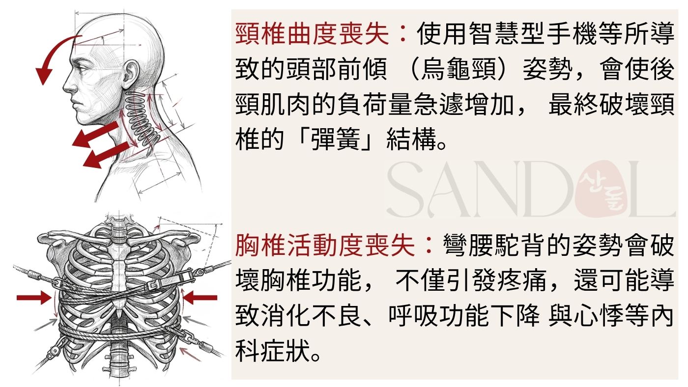 始於頸部與胸椎崩塌的頭部顏面疼痛