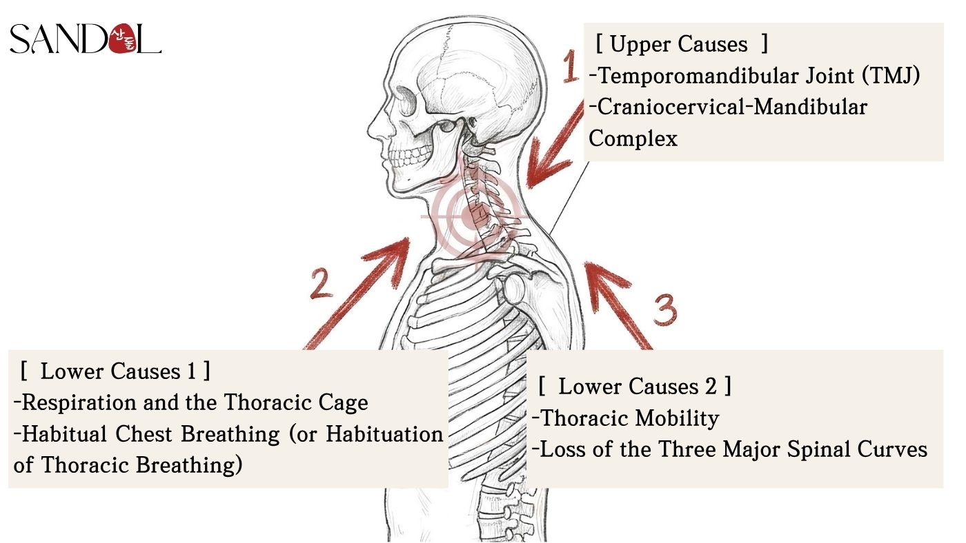 Three causes of neck pain