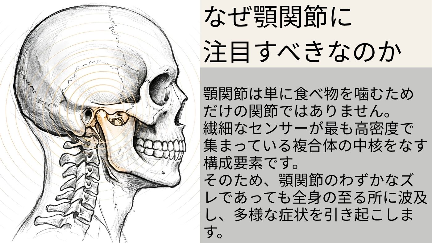 交差点という位置 — 頭蓋骨・頸椎の接合部と、三叉神経・迷走神経