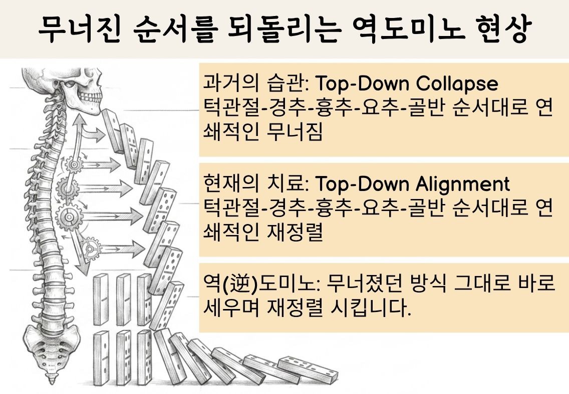 맞춤형 치료 4 — 항상 안전을 우선