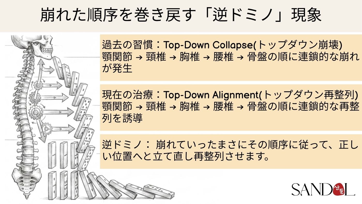 オーダーメイド治療4 — 常に安全を最優先